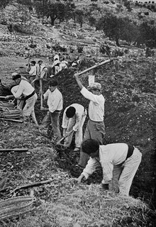 Sample content_Journey through the Spanish Civil War