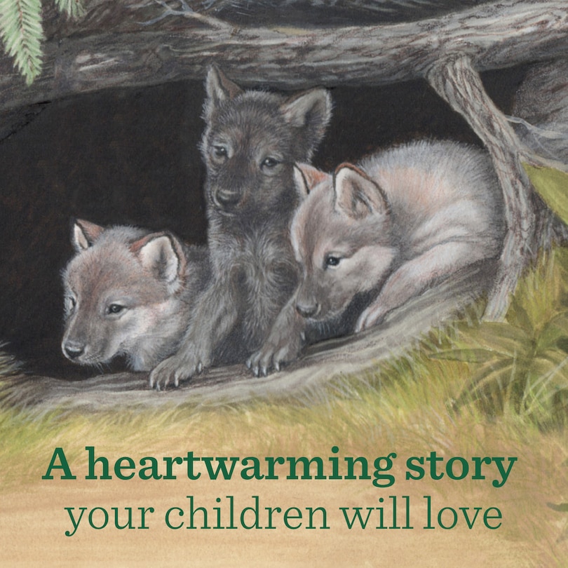 Aperçu du contenu 4_Journey