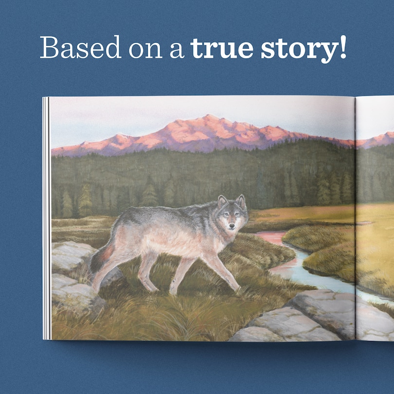 Aperçu du contenu 5_Journey