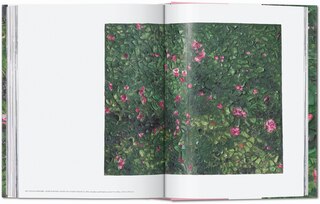 Sample content 3_Julian Schnabel