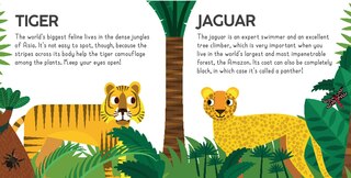 Sample content_Jungle Adventure Fun Pack