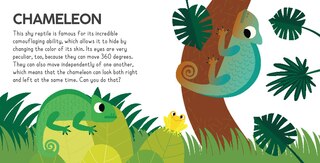 Sample content 2_Jungle Adventure Fun Pack