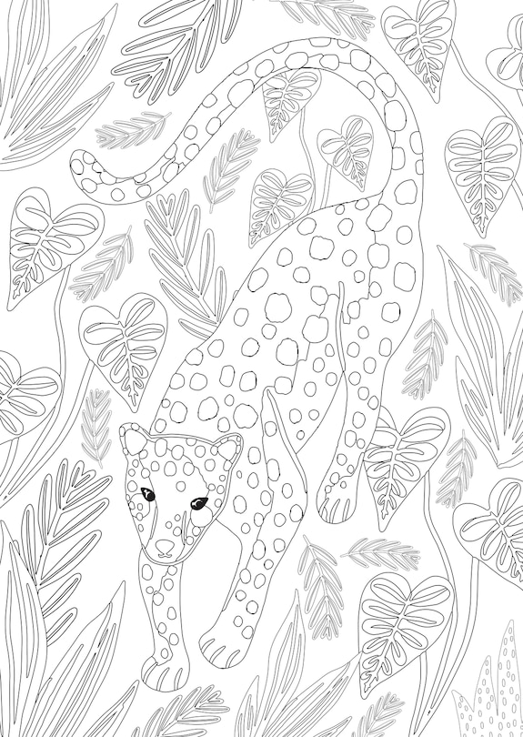 Aper&ccedil;u du contenu_Jungle Dreams Colouring Book