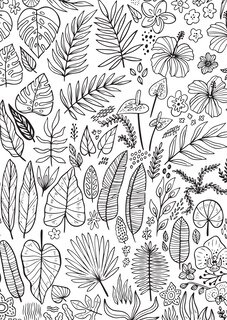 Aper&ccedil;u du contenu 2_Jungle Dreams Colouring Book