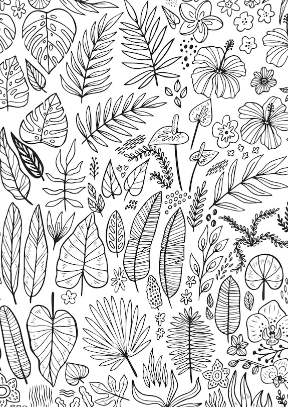 Aper&ccedil;u du contenu 2_Jungle Dreams Colouring Book