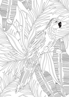 Aper&ccedil;u du contenu 3_Jungle Dreams Colouring Book