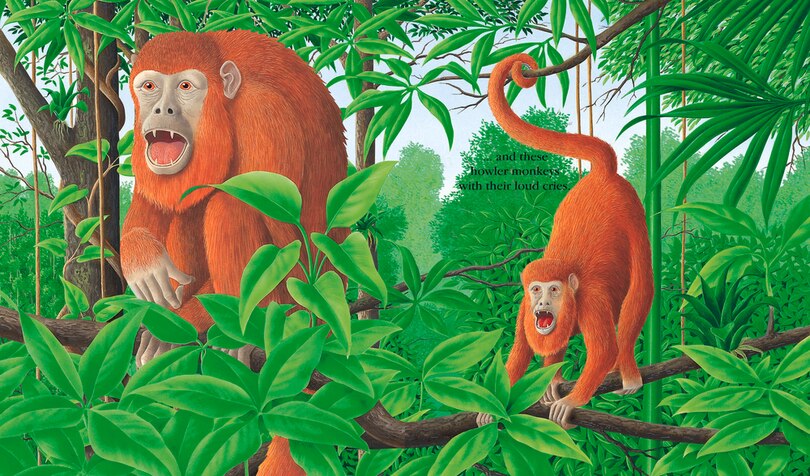 Aper&ccedil;u du contenu 3_Jungle