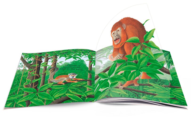 Aper&ccedil;u du contenu 4_Jungle