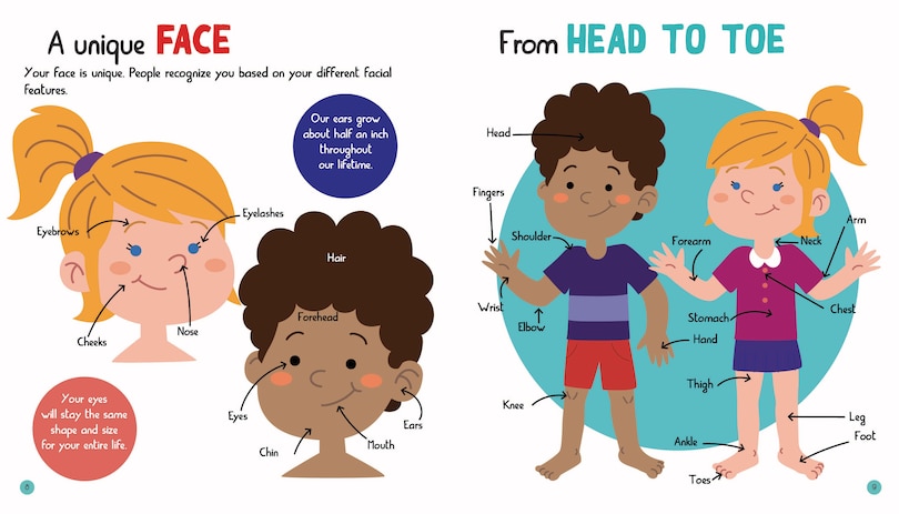 Aper&ccedil;u du contenu_JUNIOR ENCYCLOPEDIA OF HUMAN BODY