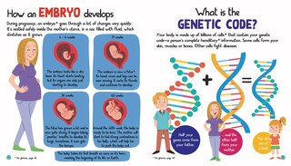 Aper&ccedil;u du contenu 2_JUNIOR ENCYCLOPEDIA OF HUMAN BODY