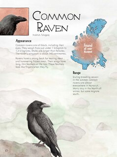 Sample content 2_Junior Field Guide Birds of Nunavut