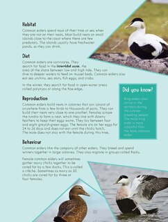 Sample content 3_Junior Field Guide Birds of Nunavut