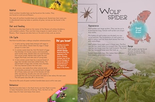 Sample content_Junior Field Guide Insects of Nunavut