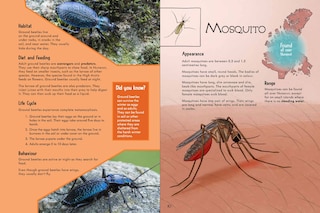 Sample content 3_Junior Field Guide Insects of Nunavut