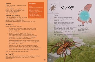 Sample content_Junior Field Guide Insects of Nunavut