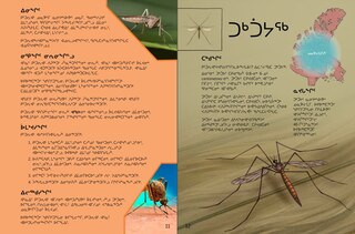 Sample content 5_Junior Field Guide Insects of Nunavut
