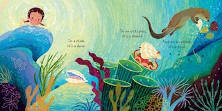 Aper&ccedil;u du contenu 2_Just a Shell . . . or Is It? (A Point-of-View Picture Book)