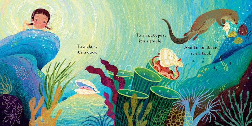 Aper&ccedil;u du contenu 2_Just a Shell . . . or Is It? (A Point-of-View Picture Book)