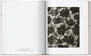 Aperçu du contenu_Karl Blossfeldt. The Complete Published Work. 45th Ed.