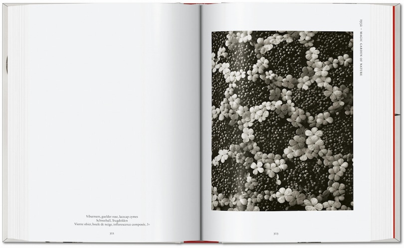 Aperçu du contenu_Karl Blossfeldt. The Complete Published Work. 45th Ed.