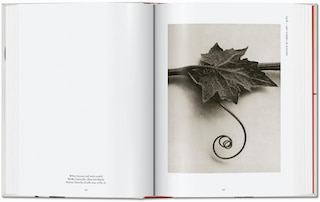 Aperçu du contenu 3_Karl Blossfeldt. The Complete Published Work. 45th Ed.