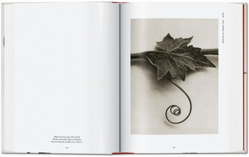 Aperçu du contenu 3_Karl Blossfeldt. The Complete Published Work. 45th Ed.