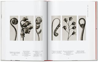 Aperçu du contenu 4_Karl Blossfeldt. The Complete Published Work. 45th Ed.