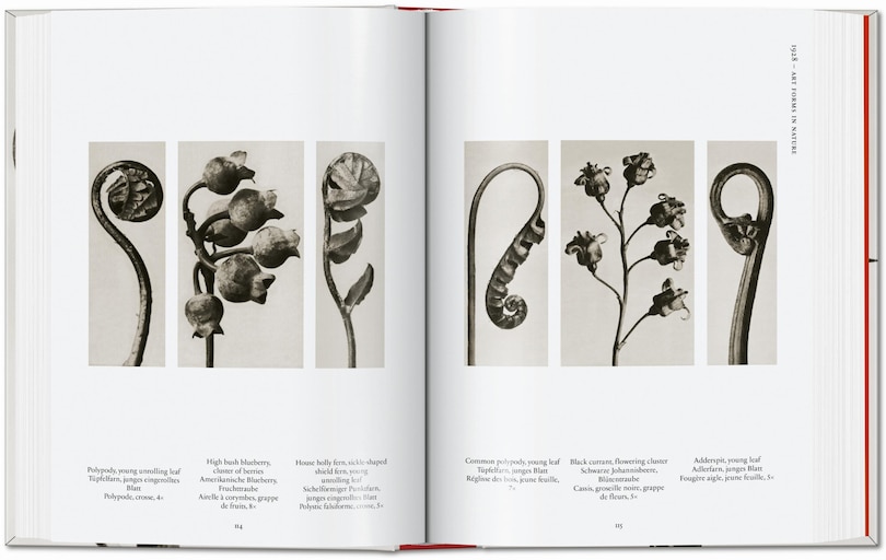 Aperçu du contenu 4_Karl Blossfeldt. The Complete Published Work. 45th Ed.