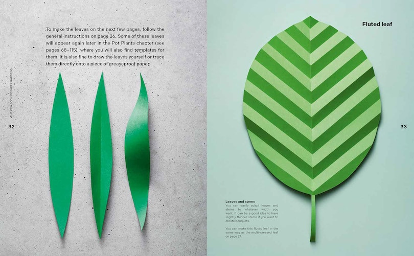 Sample content 3_Kew Book of Paper Gardens, The