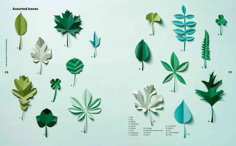 Sample content 4_Kew Book of Paper Gardens, The