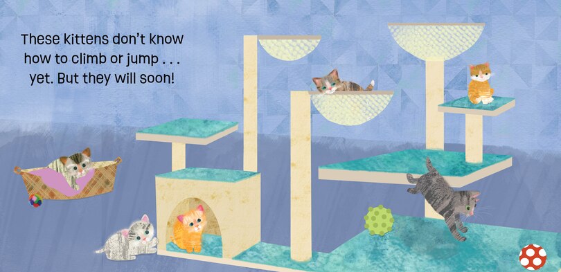 Sample content 3_Kittens Know & Grow