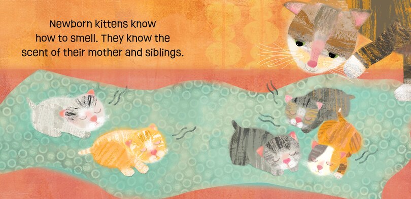 Sample content 4_Kittens Know & Grow