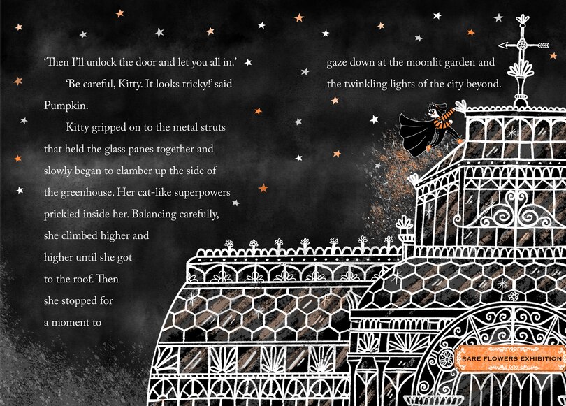 Aper&ccedil;u du contenu 4_Kitty and the Moonflower Mystery
