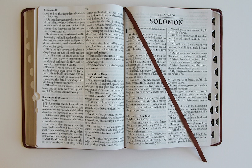 Aperçu du contenu 2_KJV Holy Bible, Giant Print Thinline Large format, Brown Premium Imitation Leath er with Ribbon Marker, Red Letter, and Thumb Index