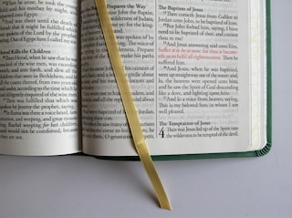 Aperçu du contenu 3_KJV Holy Bible, Large Print Medium format, Green with Birds Faux Leather w/ Ribbon Marker, Red Letter