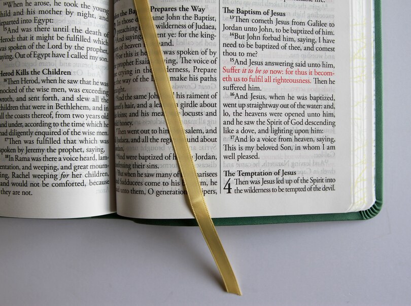 Aperçu du contenu 3_KJV Holy Bible, Large Print Medium format, Green with Birds Faux Leather w/ Ribbon Marker, Red Letter
