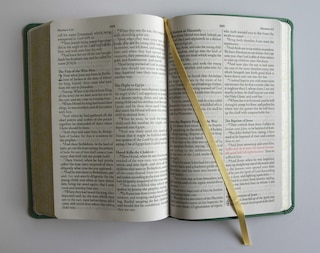 Aperçu du contenu 4_KJV Holy Bible, Large Print Medium format, Green with Birds Faux Leather w/ Ribbon Marker, Red Letter