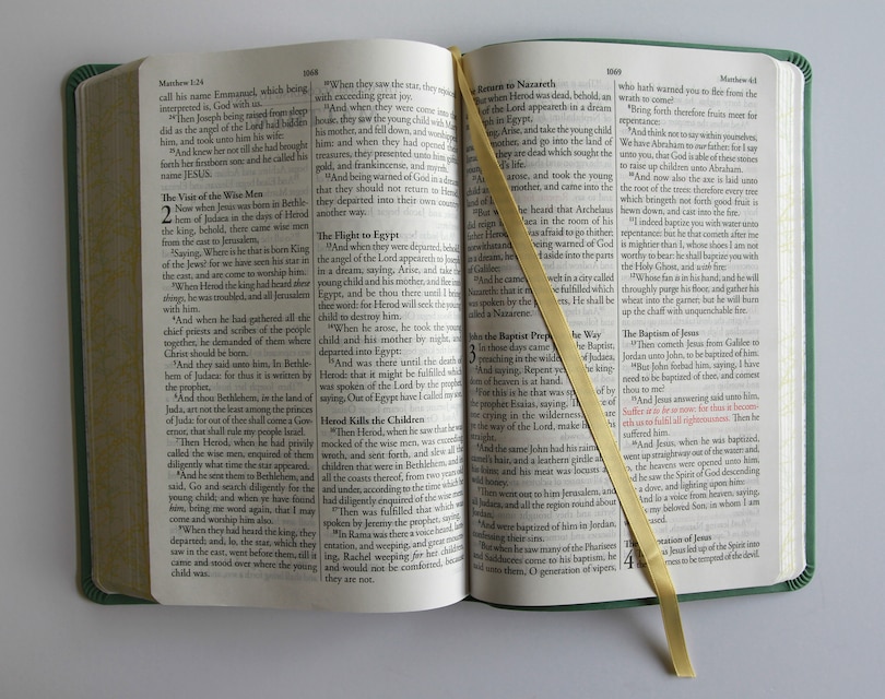 Aperçu du contenu 4_KJV Holy Bible, Large Print Medium format, Green with Birds Faux Leather w/ Ribbon Marker, Red Letter