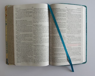 Sample content 2_KJV Holy Bible, Large Print Medium format, Blue with Birds Faux Leather w/ Ribbon Marker, Red Letter