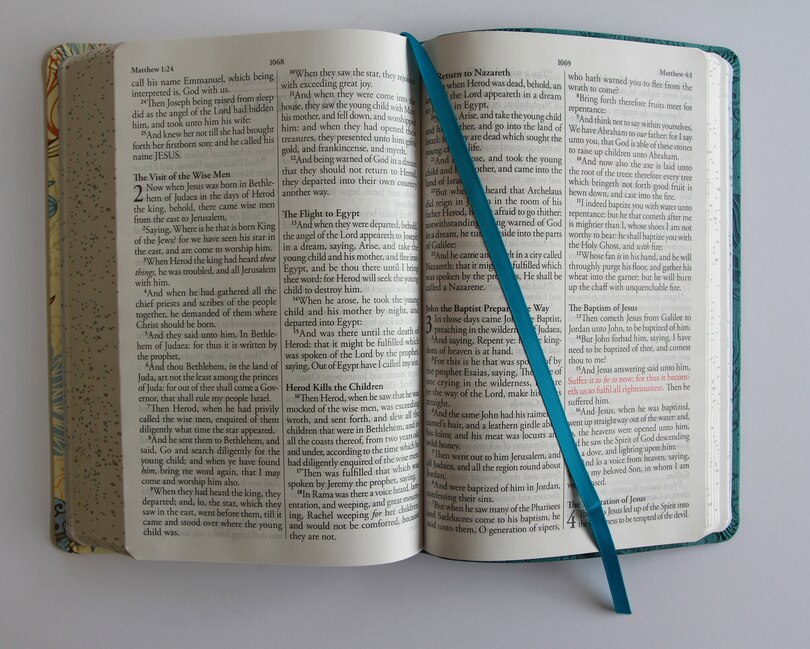 Sample content 2_KJV Holy Bible, Large Print Medium format, Blue with Birds Faux Leather w/ Ribbon Marker, Red Letter