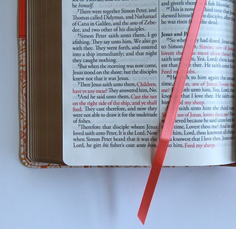 Aperçu du contenu 3_KJV Holy Bible, Large Print Handy Size format, 2 Piece Pink Floral Leathersoft with Ribbon Marker, Red Letter