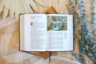 Aper&ccedil;u du contenu 3_KJV Majestic Illuminated Bible (Brown LeatherLuxe)