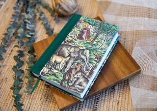 Sample content_KJV Majestic Illuminated Bible