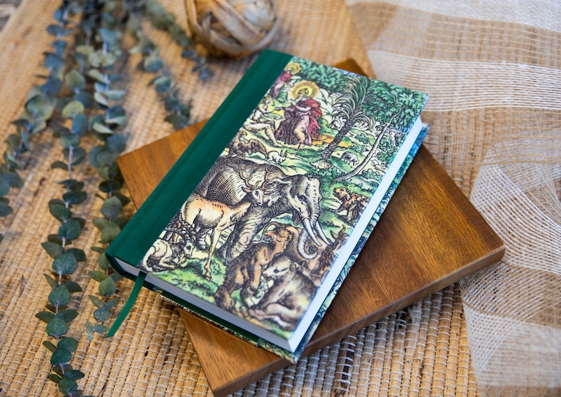 Sample content_KJV Majestic Illuminated Bible