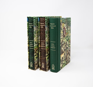 Sample content 4_KJV Majestic Illuminated Bible