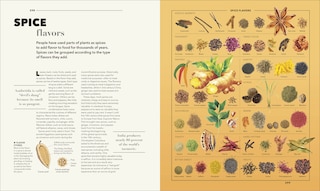 Sample content 2_Knowledge A Visual Compendium