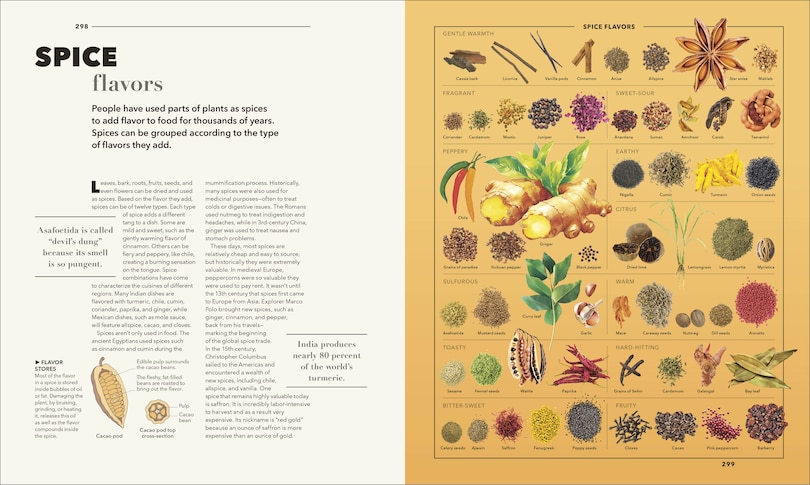 Sample content 2_Knowledge A Visual Compendium