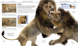 Aper&ccedil;u du contenu_Knowledge Encyclopedia Animal!