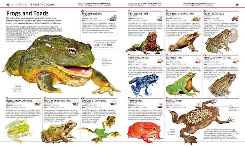 Aper&ccedil;u du contenu 5_Knowledge Encyclopedia Animal!