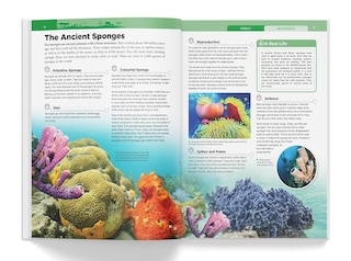 Sample content_Knowledge Encyclopedia - Animals